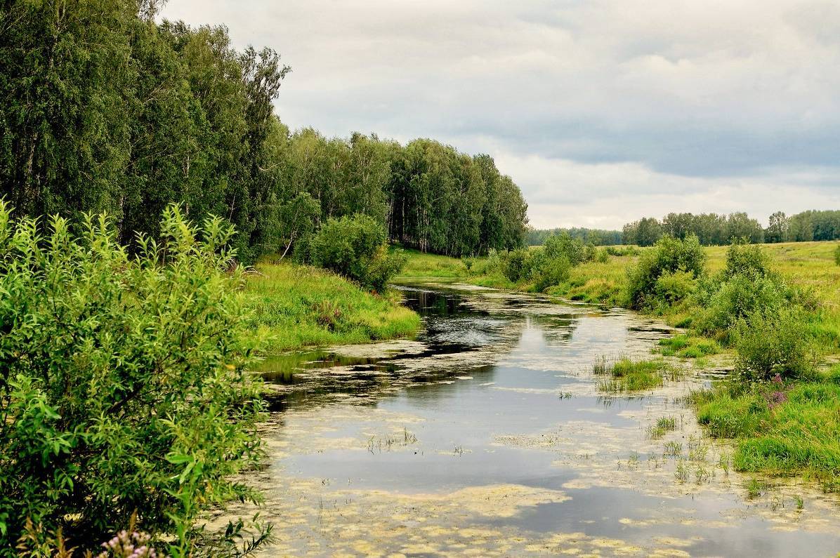 Через посуху Україні загрожує нестача питної води