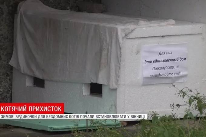 В дворі багатоповерхівки на вул. А. Первозванного влаштували будиночок для котів