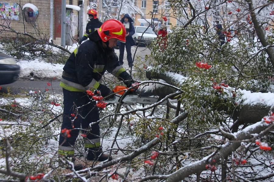 На вул. Порика на дорогу впало дерево