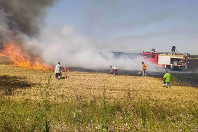 На Вінниччині вогонь знищив майже 3 га пшениці: ймовірна причина загоряння (фото)