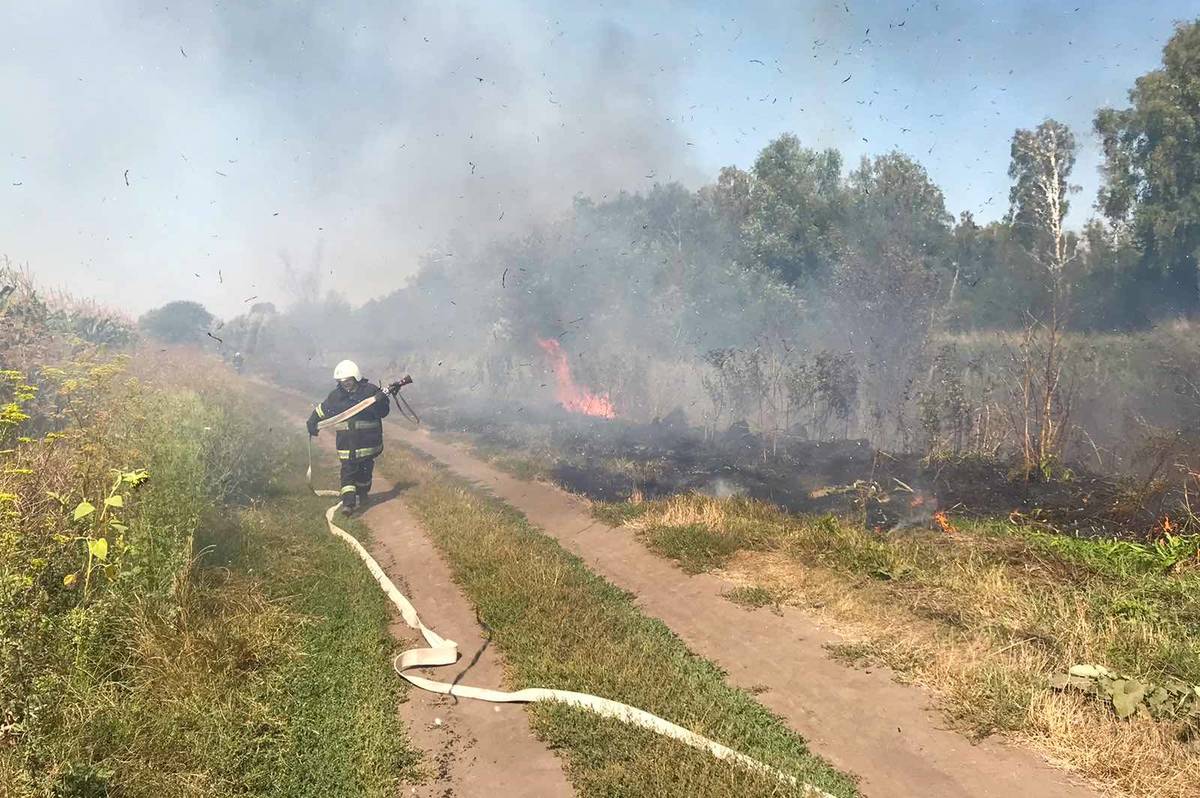 Горіло у всіх районах Вінниччини: скільки пожеж за добу ліквідували рятувальники