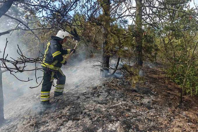 На Вінниччині через людську недбалість згоріло понад 2,5 га сухостою