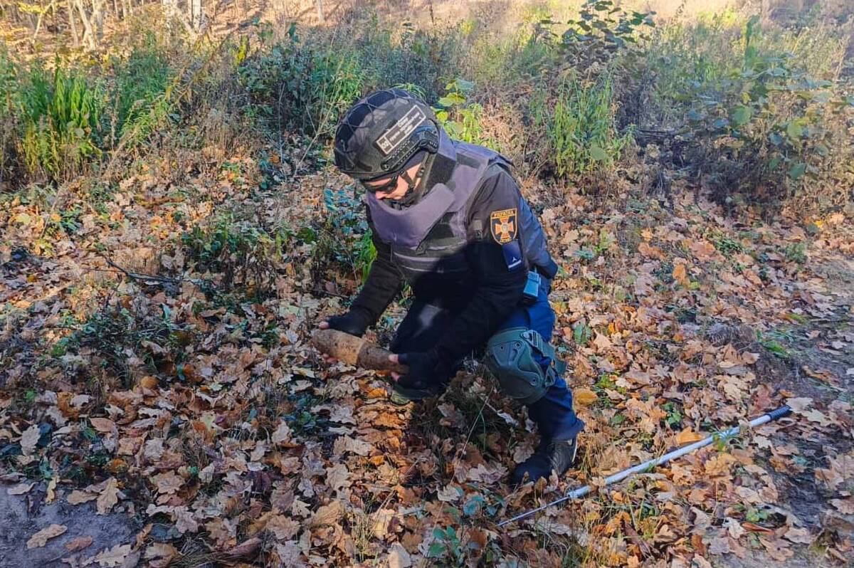 У лісосмузі на Вінниччині знайшли артснаряд: подробиці та фото
