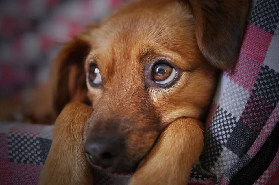 Якою буде погода на Вінниччині у четвер та п'ятницю, 7-8 листопада: прогноз