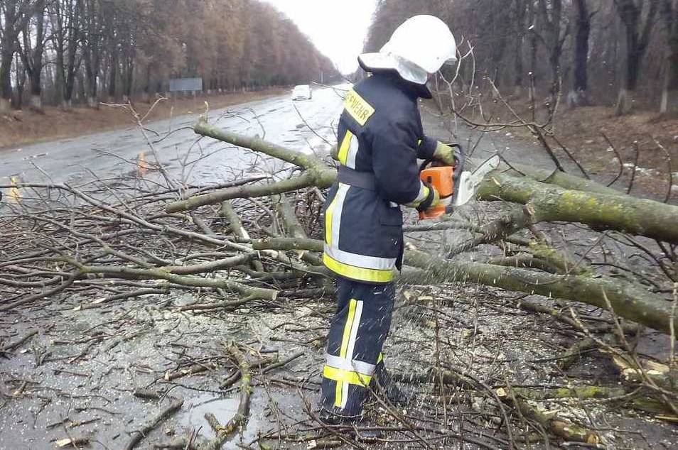 Дві жертви негоди: у Вінниці дерево впало на 11-річну дівчинку, у Хмільнику - на молоду жінку. Обидві отримали несумісні з життям травми