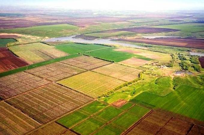 Членам родин загиблих під час військових дій передано у власність земельні ділянки загальною площею 193 га