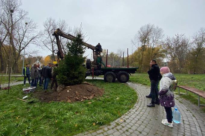 На «Мрії» з'явилась зелена красуня 