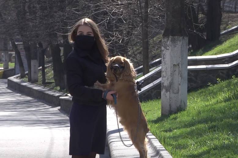 Як вберегти домашніх улюбленців