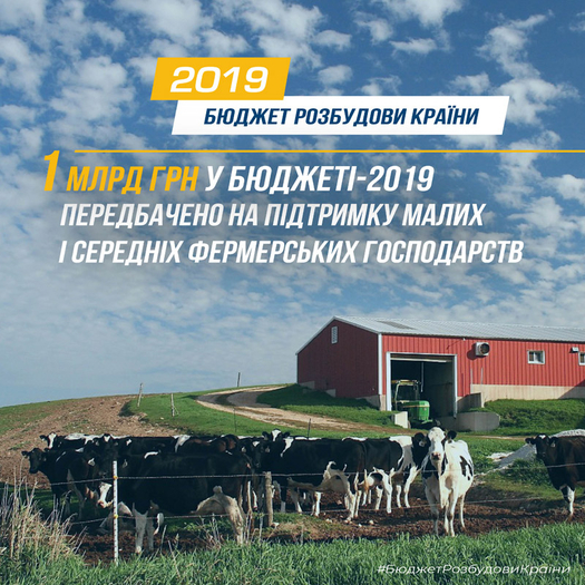 Верховна Рада підтримала урядовий бюджет розвитку країни на 2019 рік