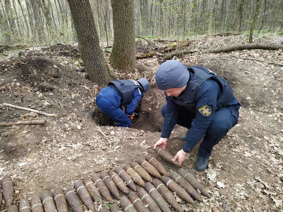 В Оратівському районі неподалік села виявили 208 боєприпасів