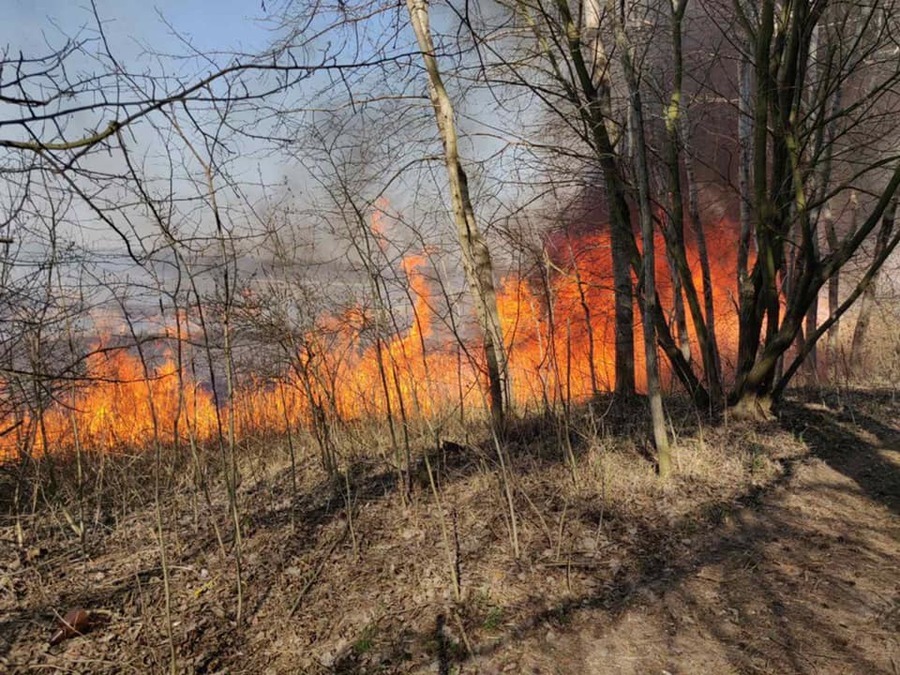 Вінницька «Австралія у вогні»: впродовж вихідних бійці ДСНС загасили два десятки пожеж в екосистем