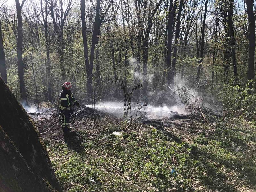 За підпал сухостою — до 5 років в’язниці: закон про посилення відповідальності за пожежі в екосистемах вступив в дію