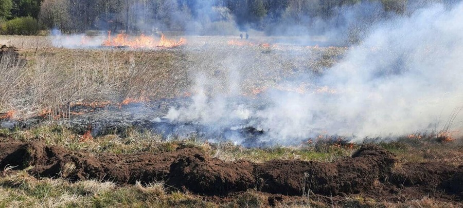 За підпал сухостою — до 5 років в’язниці: закон про посилення відповідальності за пожежі в екосистемах вступив в дію