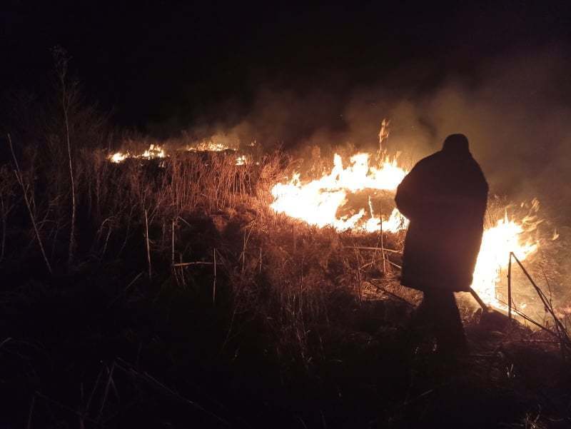 6 пожеж за добу: вогонь знищив понад 3,5 гектари екосистем Вінниччини 